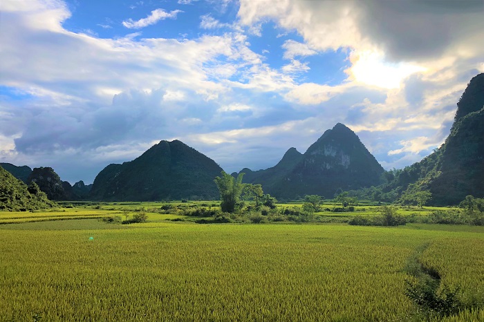 Circuito en el Noreste de Vietnam, ¿Qué ver y qué hacer?